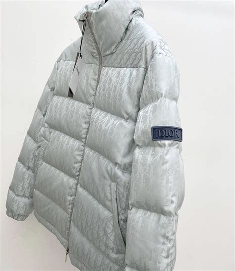 dior oblique down jacket gray|Dior sleeveless jacket.